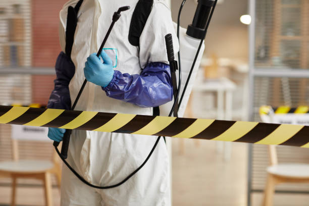 Professional Sewage Cleanup technician working in Camp Meeker, CA